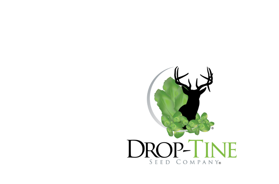 Drop-Tine See Co. Gift Card