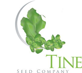 Drop-Tine Seed Co