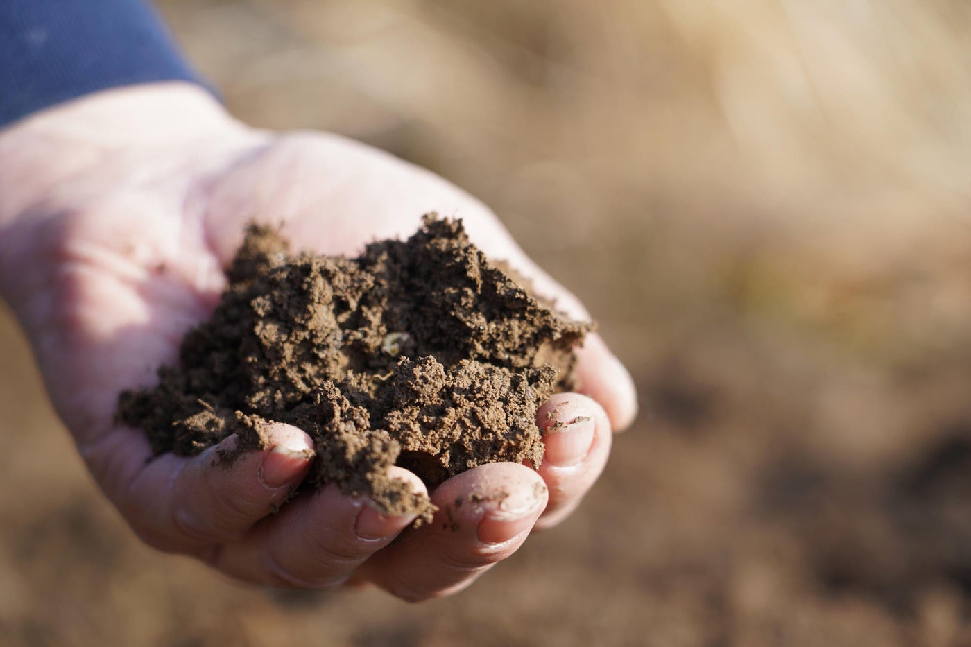 Conventional Soil Analysis - Basic