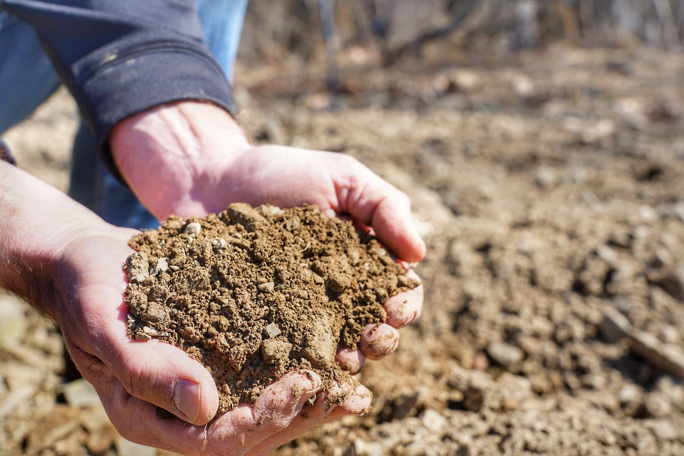 Conventional Soil Analysis - Routine